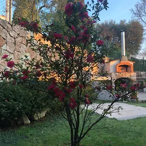 Damiano Italia